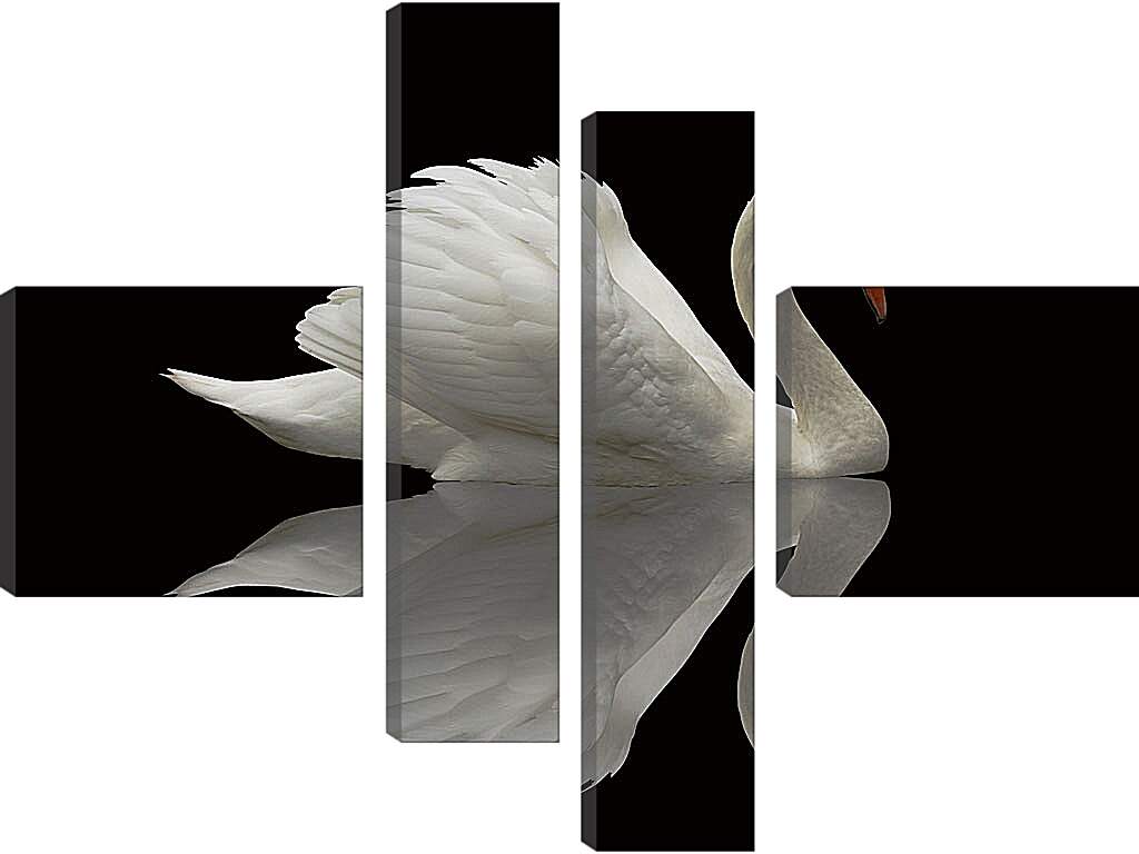 Модульная картина - Белый лебедь на чёрном фоне