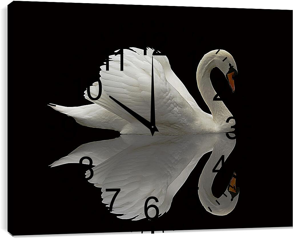 Часы картина - Белый лебедь на чёрном фоне