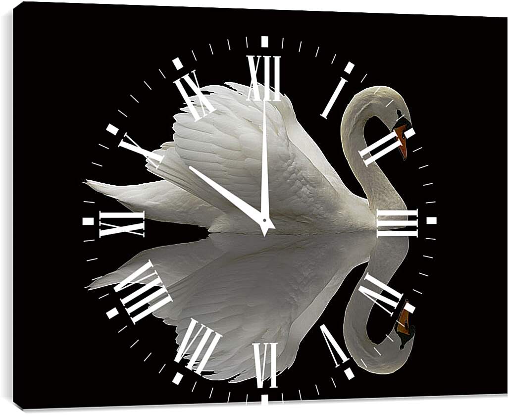 Часы картина - Белый лебедь на чёрном фоне