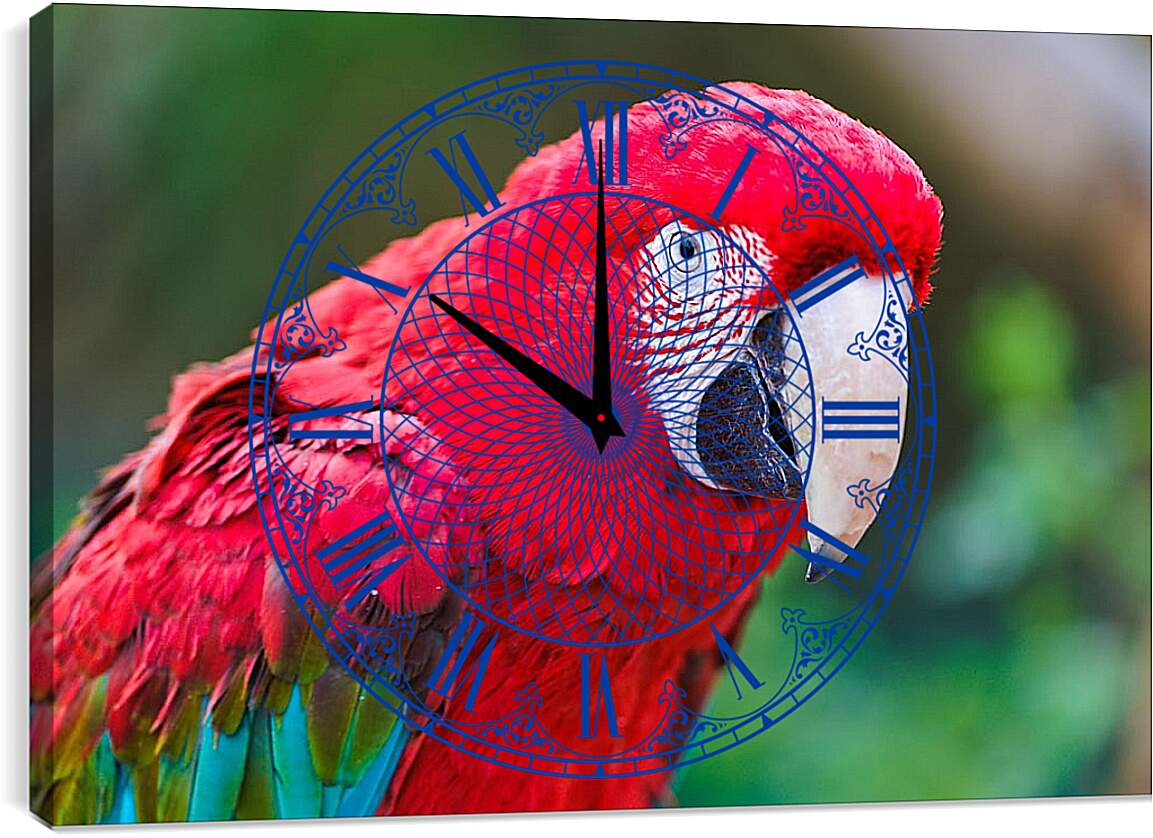 Часы картина - Попугай Ара