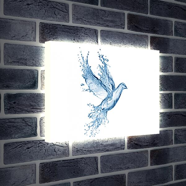 Лайтбокс световая панель - Голубь абстракция