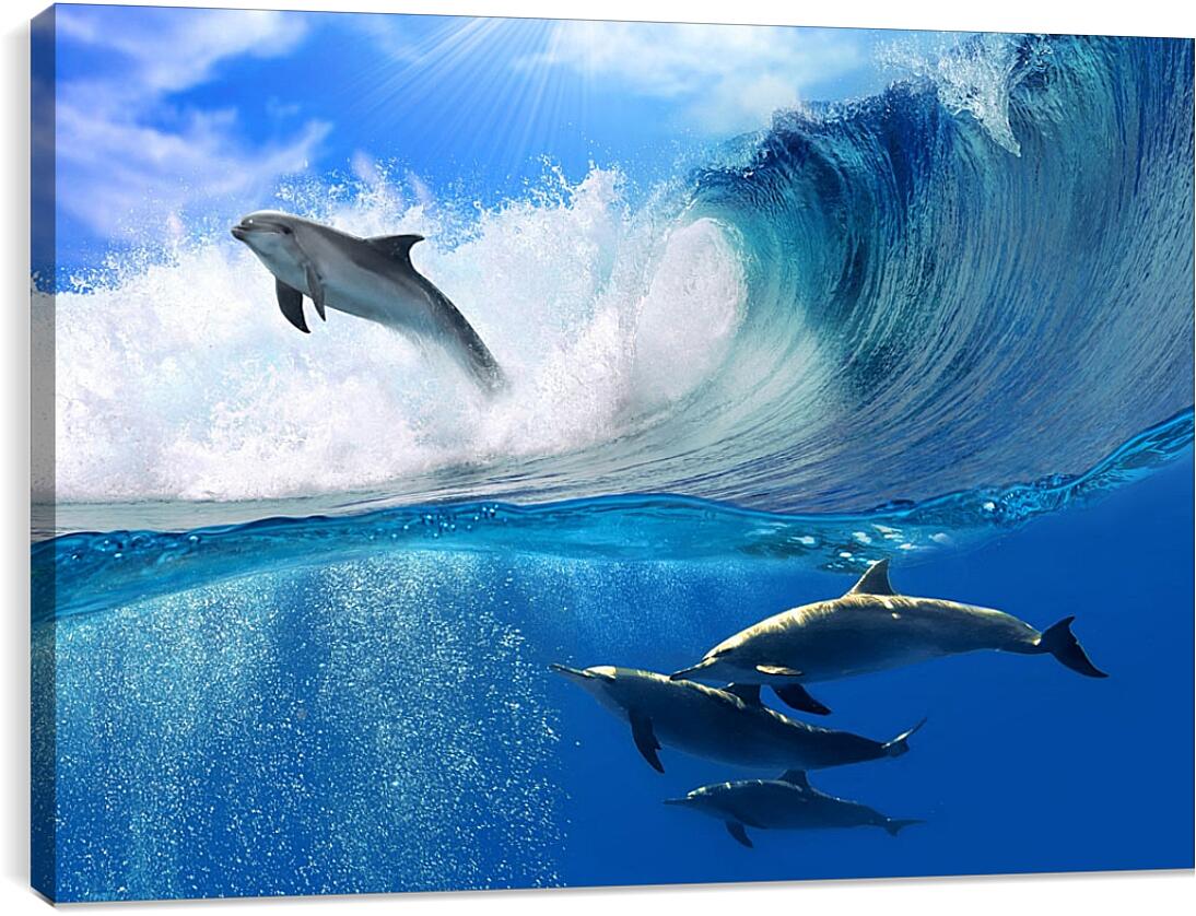 Постер и плакат - Дельфины в море