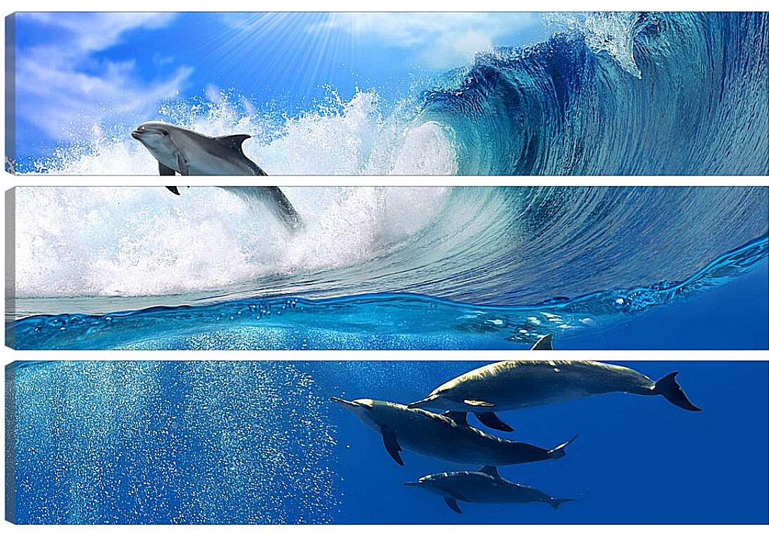 Модульная картина - Дельфины в море