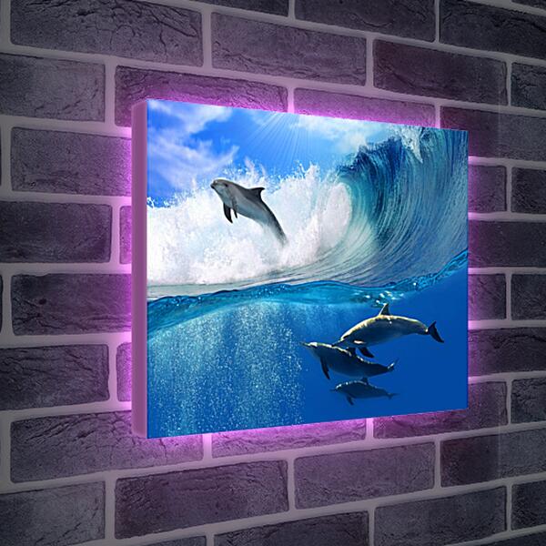 Лайтбокс световая панель - Дельфины в море