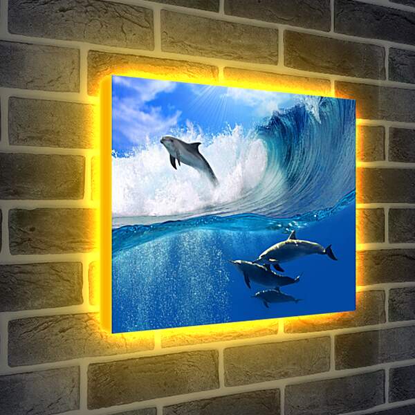 Лайтбокс световая панель - Дельфины в море