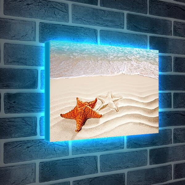 Лайтбокс световая панель - Морская звезда