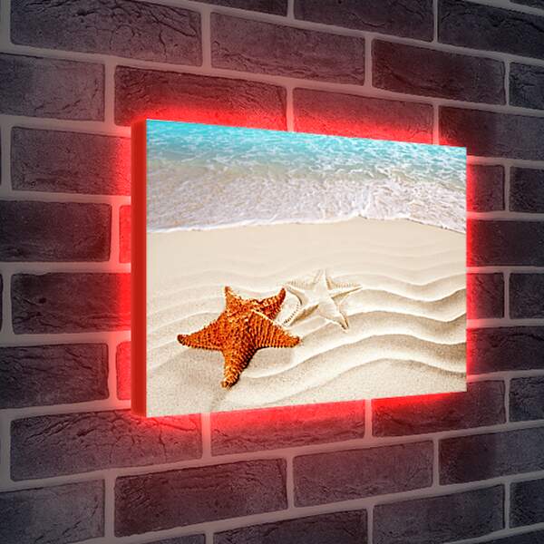 Лайтбокс световая панель - Морская звезда