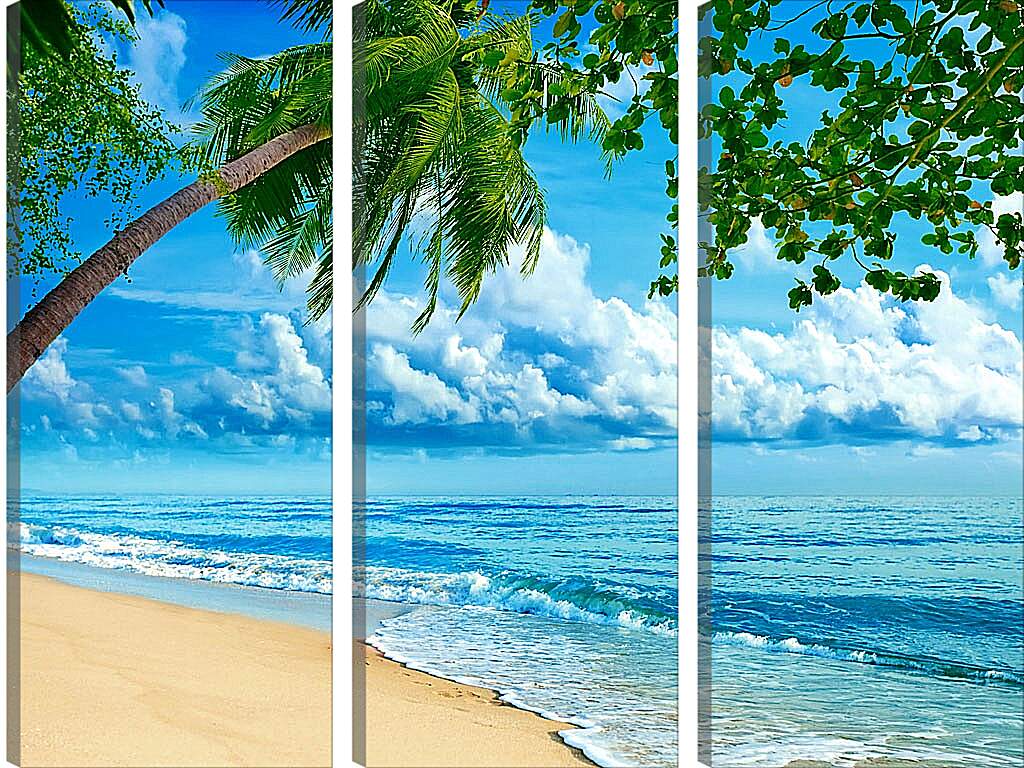 Модульная картина - Море, пальмы