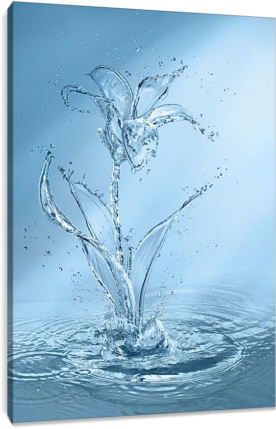 Постер и плакат - Цветок из воды