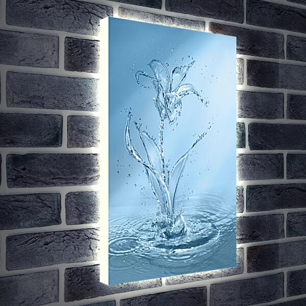 Лайтбокс световая панель - Цветок из воды