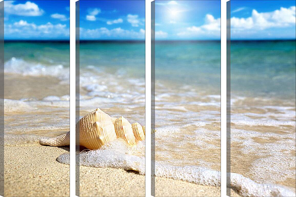 Модульная картина - Ракушка на пляже
