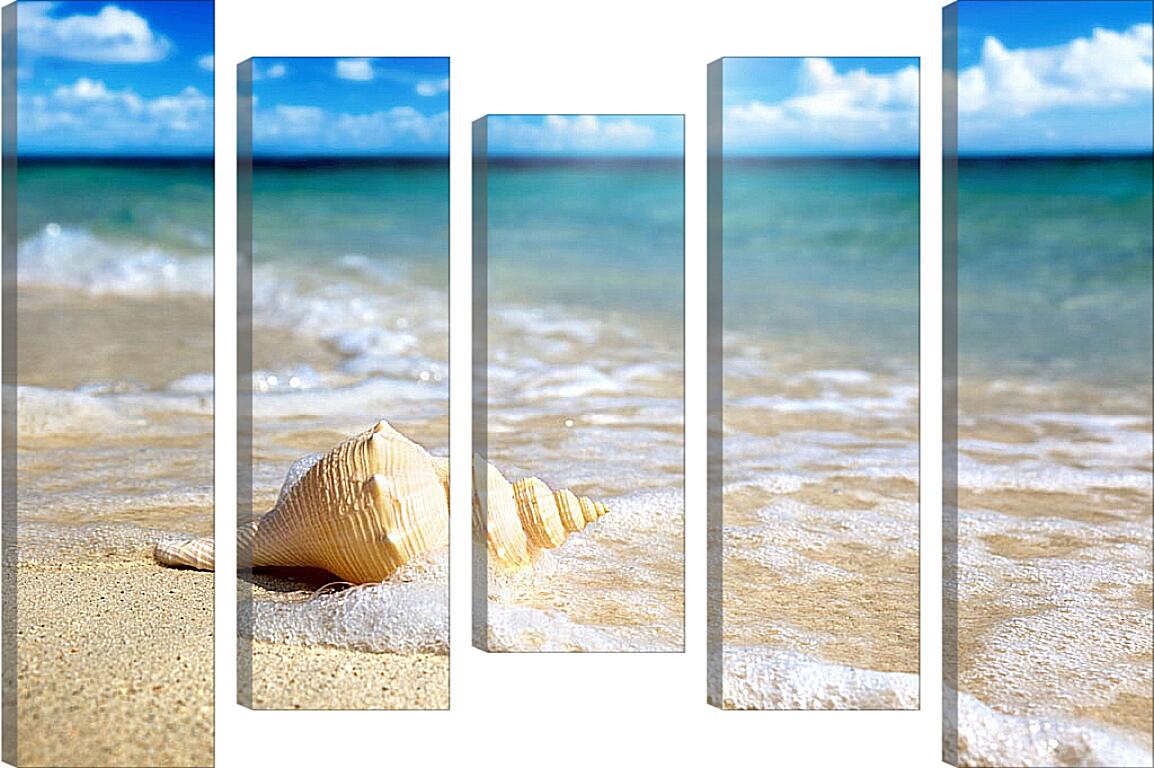 Модульная картина - Ракушка на пляже