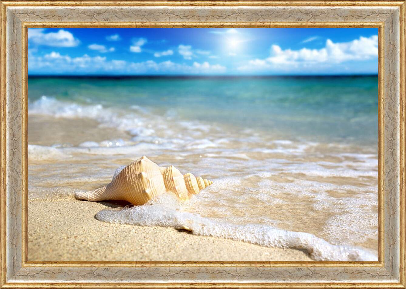 Картина в раме - Ракушка на пляже