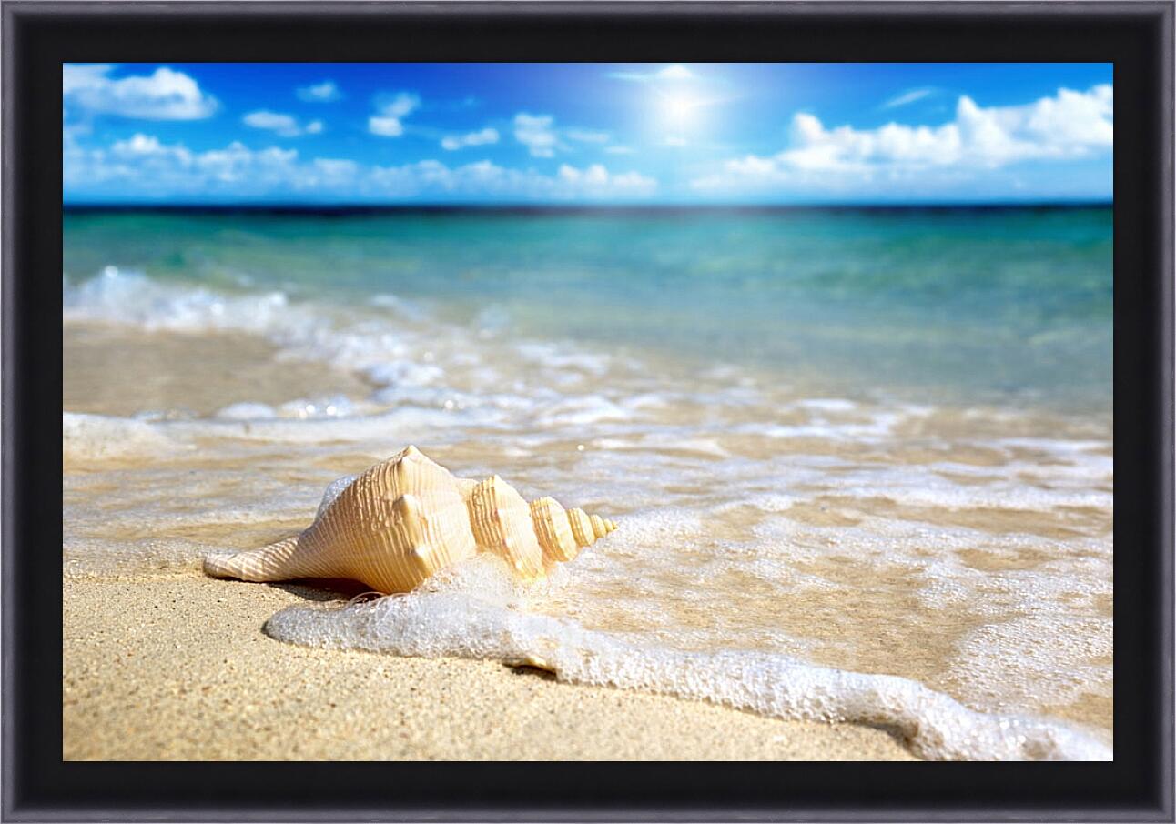 Картина в раме - Ракушка на пляже