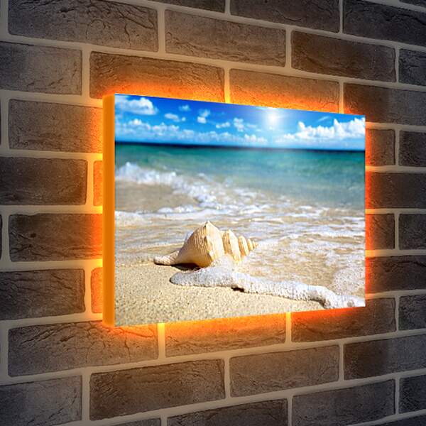 Лайтбокс световая панель - Ракушка на пляже