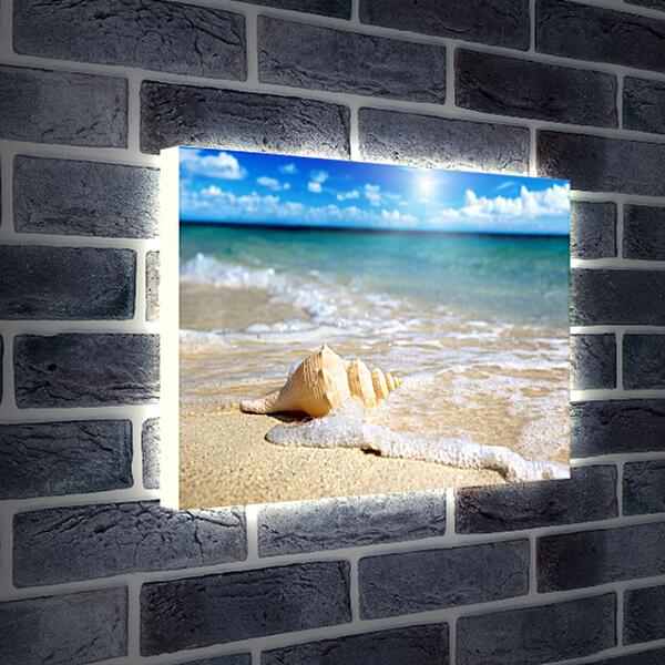 Лайтбокс световая панель - Ракушка на пляже
