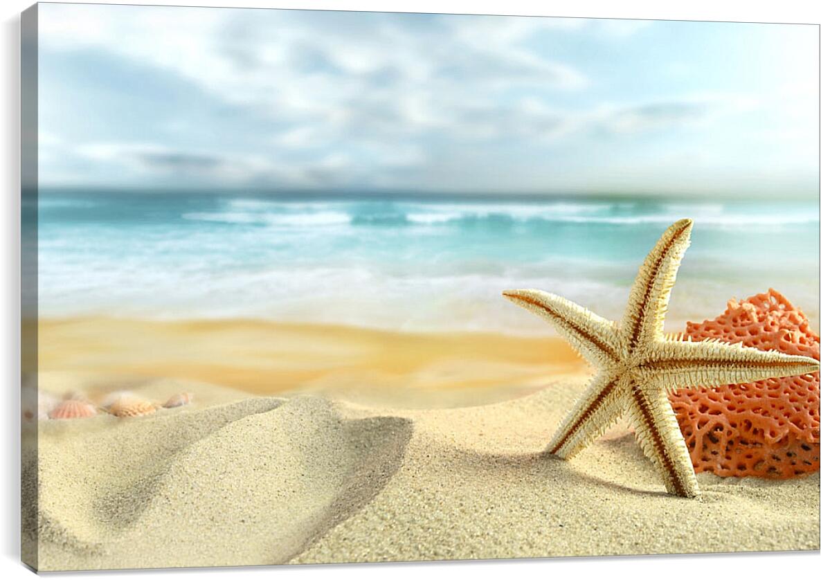 Постер и плакат - Морская звезда