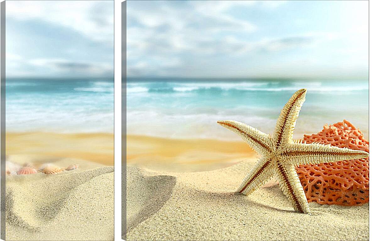 Модульная картина - Морская звезда