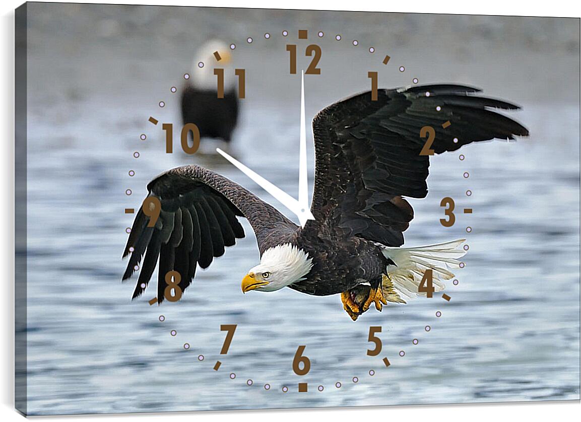 Часы картина - Белоголовый орел