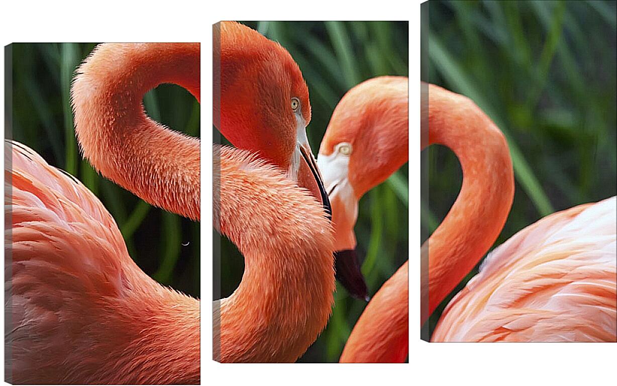 Модульная картина - Два фламинго