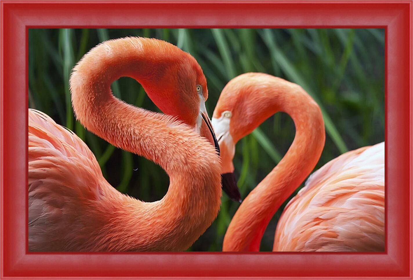 Картина в раме - Два фламинго