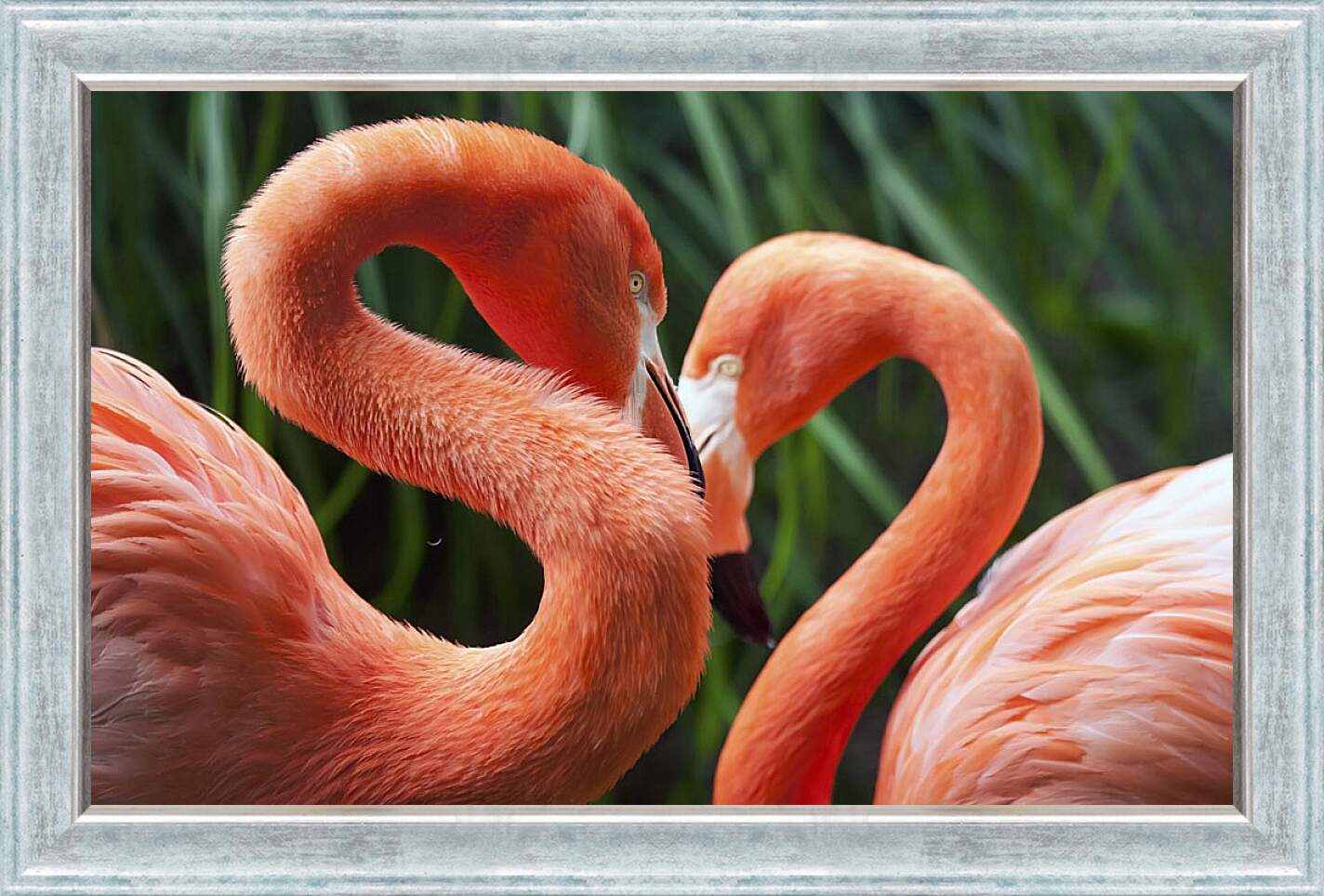 Картина в раме - Два фламинго