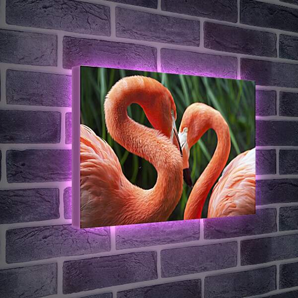 Лайтбокс световая панель - Два фламинго