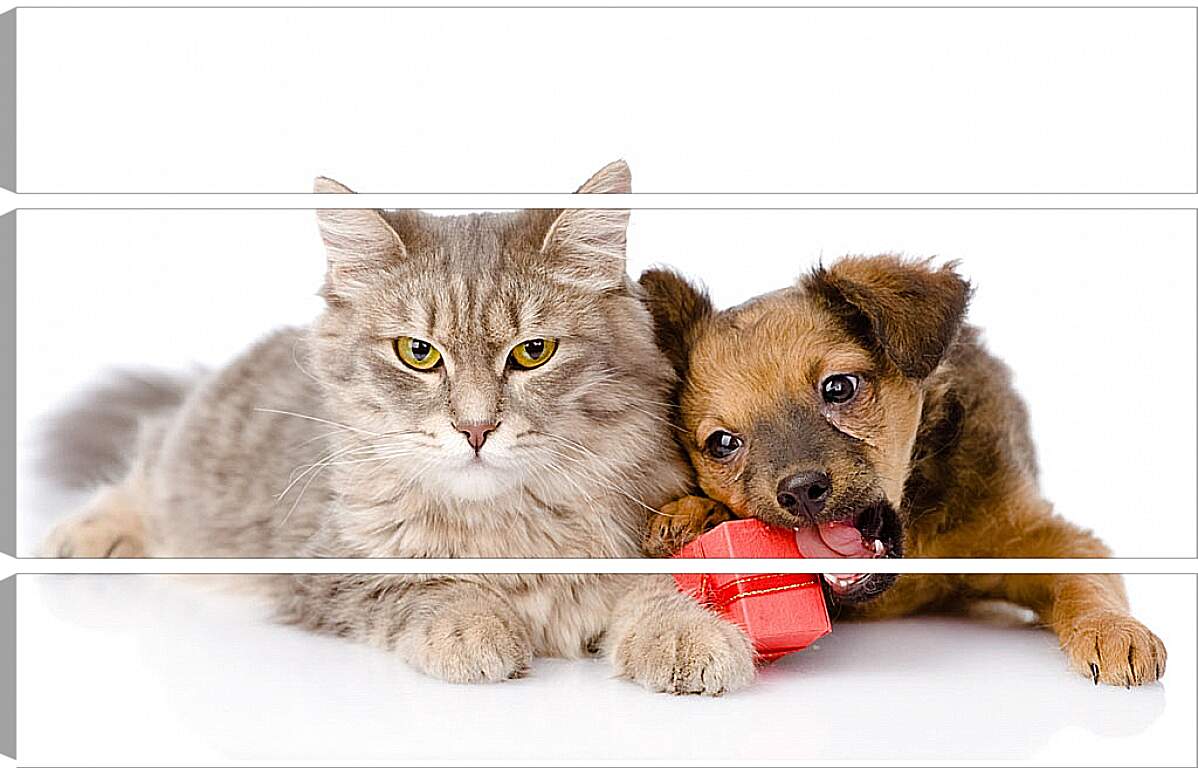 Модульная картина - Котенок и щенок