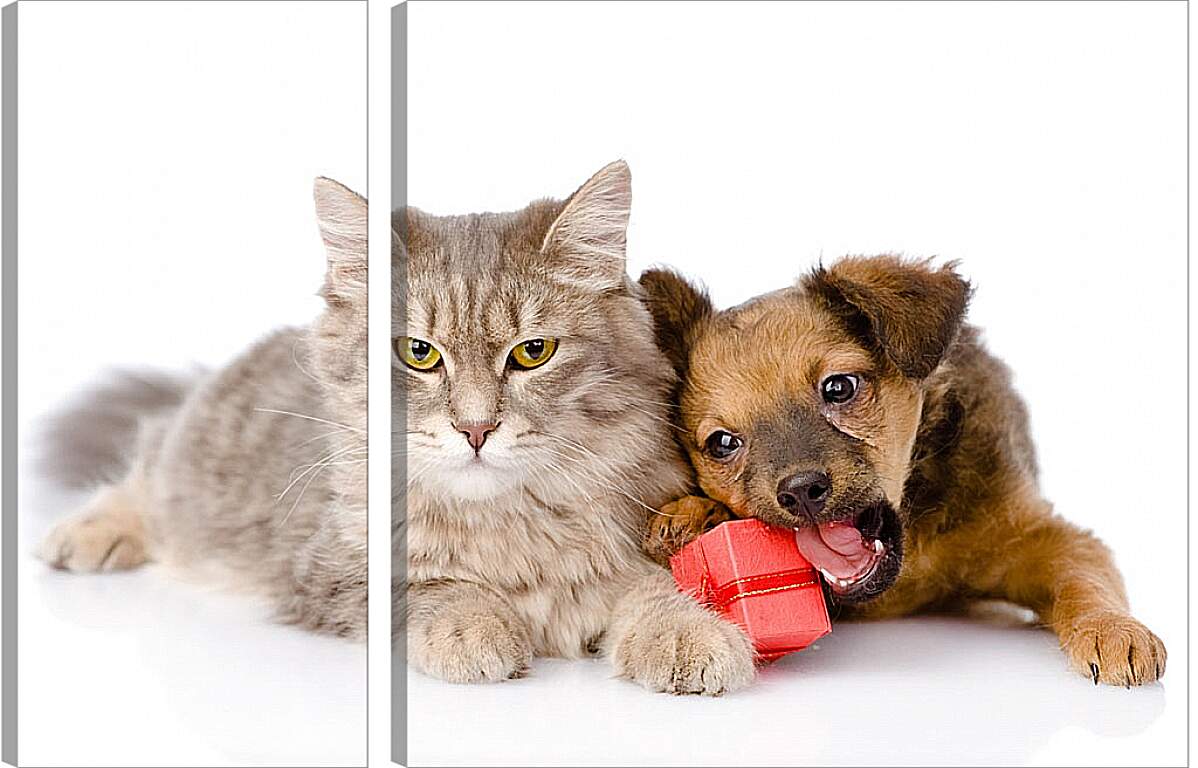 Модульная картина - Котенок и щенок