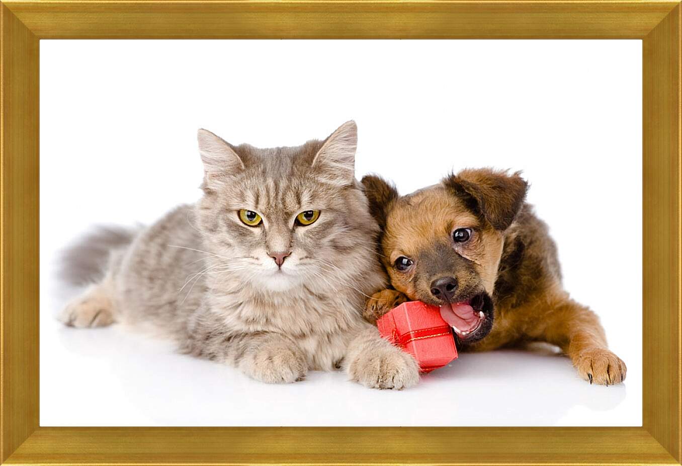 Картина в раме - Котенок и щенок