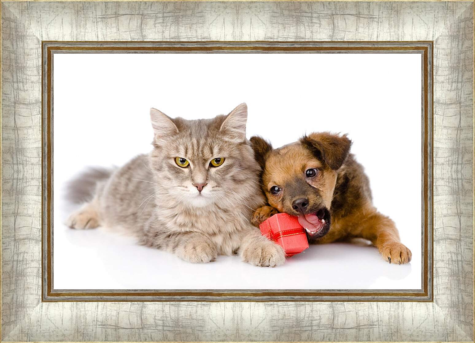 Картина в раме - Котенок и щенок