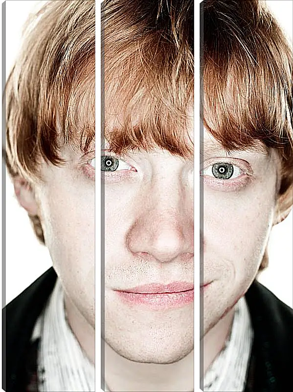 Модульная картина - Ron Weasley