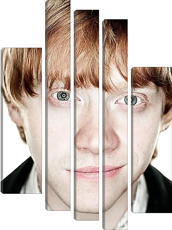 Модульная картина - Ron Weasley