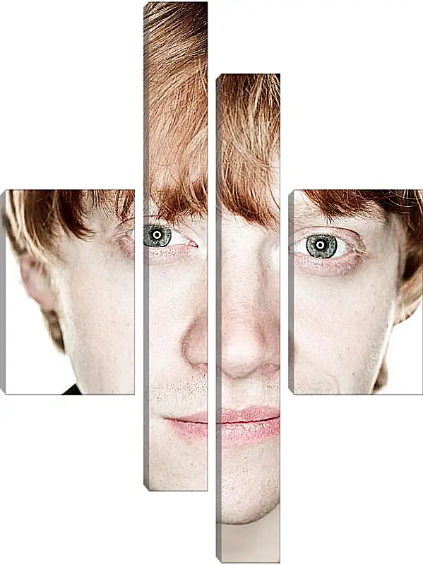 Модульная картина - Ron Weasley