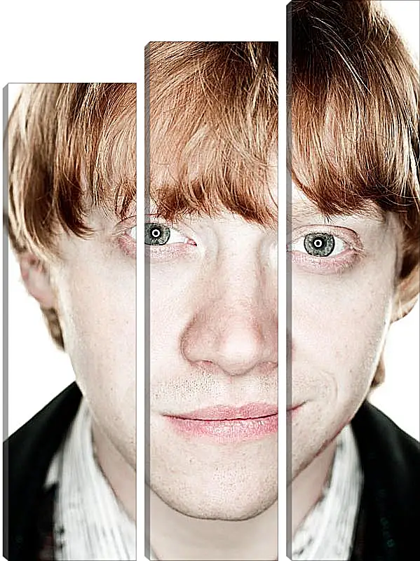 Модульная картина - Ron Weasley