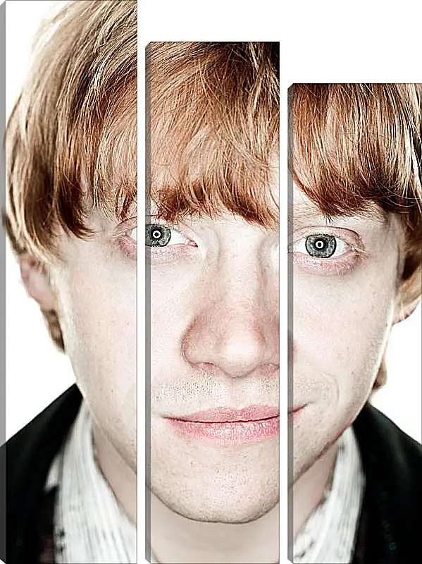 Модульная картина - Ron Weasley