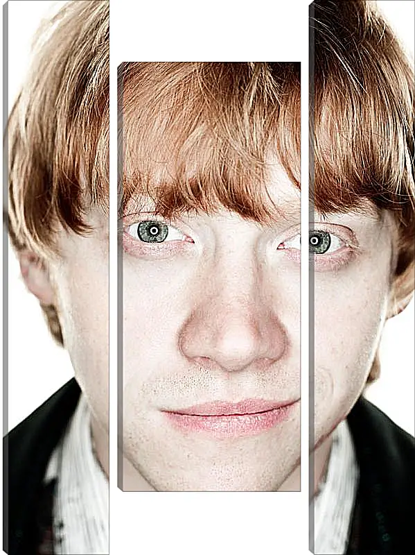 Модульная картина - Ron Weasley