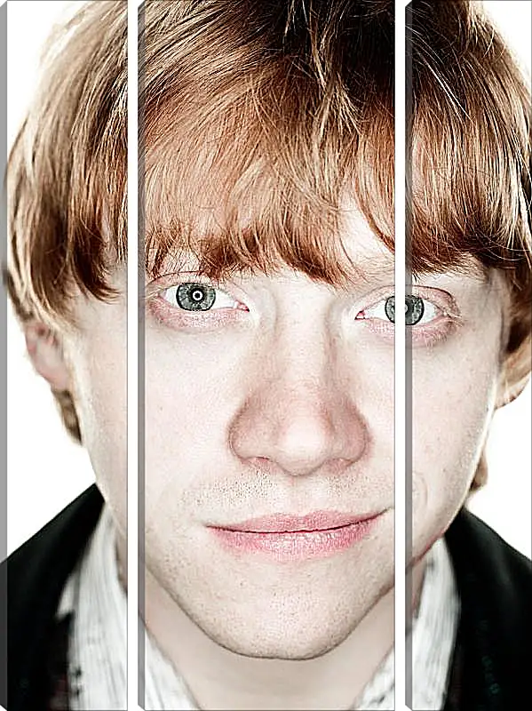 Модульная картина - Ron Weasley