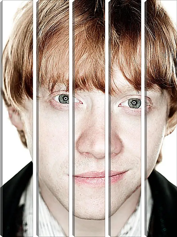 Модульная картина - Ron Weasley