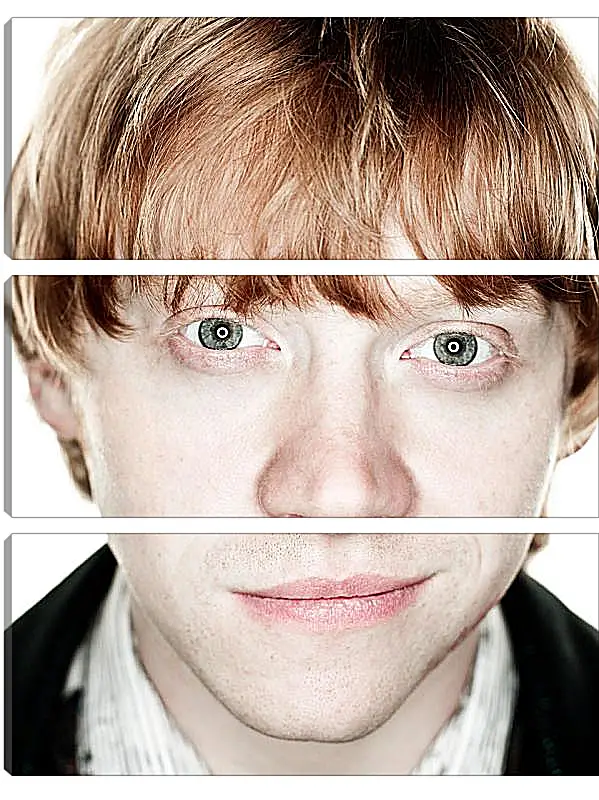 Модульная картина - Ron Weasley