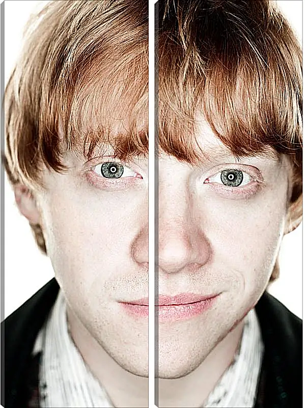 Модульная картина - Ron Weasley