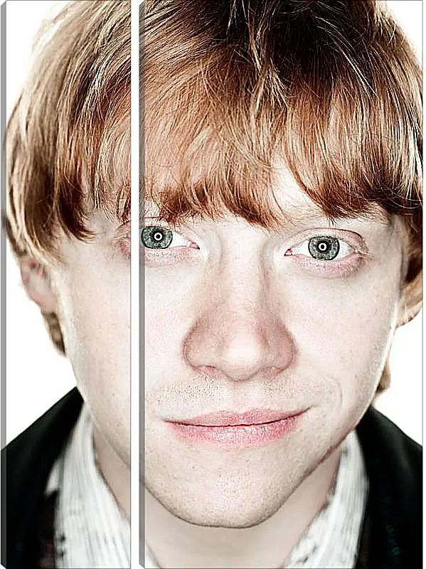 Модульная картина - Ron Weasley