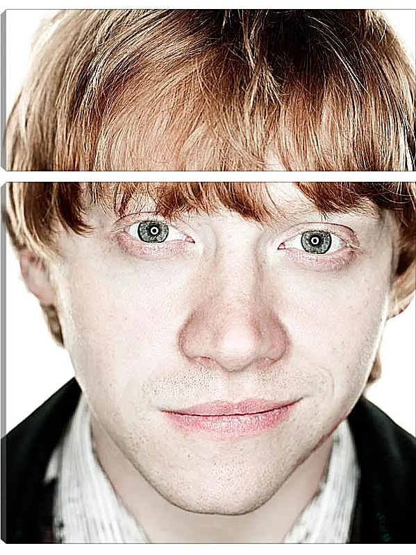 Модульная картина - Ron Weasley