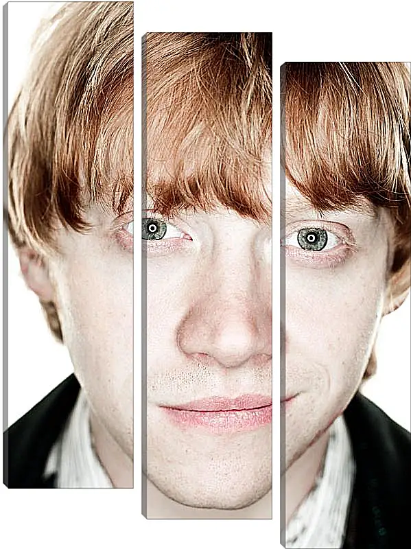 Модульная картина - Ron Weasley