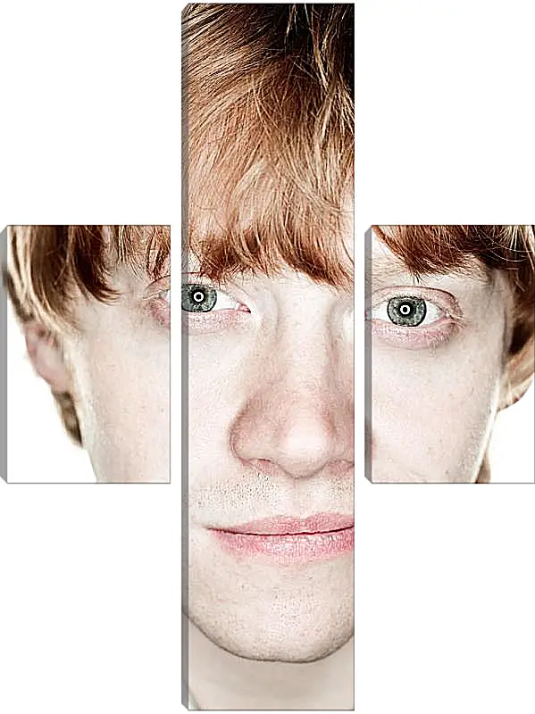 Модульная картина - Ron Weasley