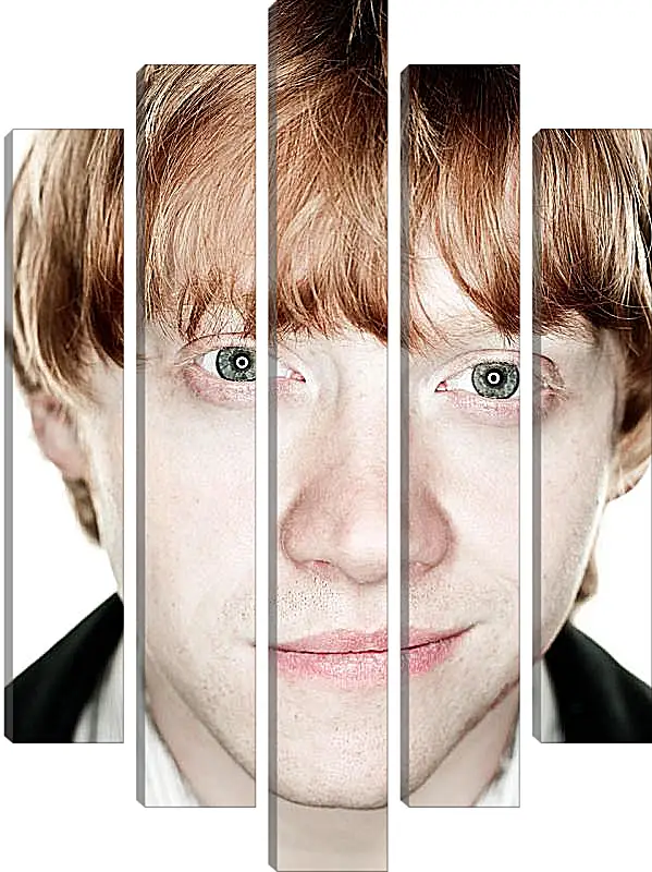 Модульная картина - Ron Weasley