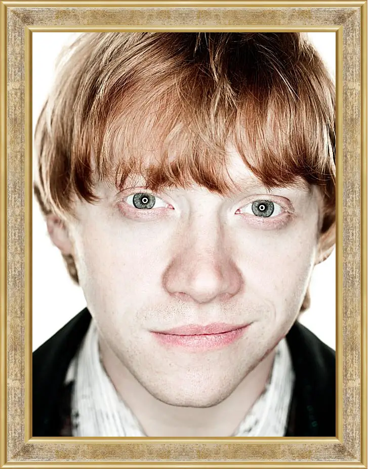 Картина в раме - Ron Weasley