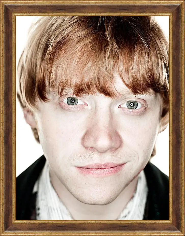 Картина в раме - Ron Weasley