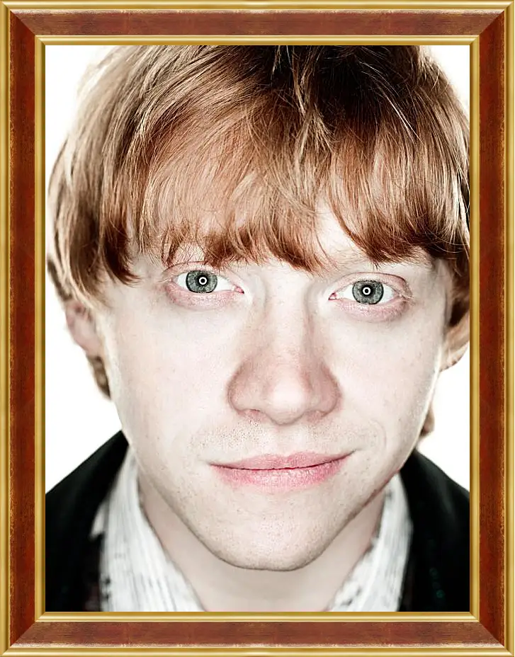 Картина в раме - Ron Weasley