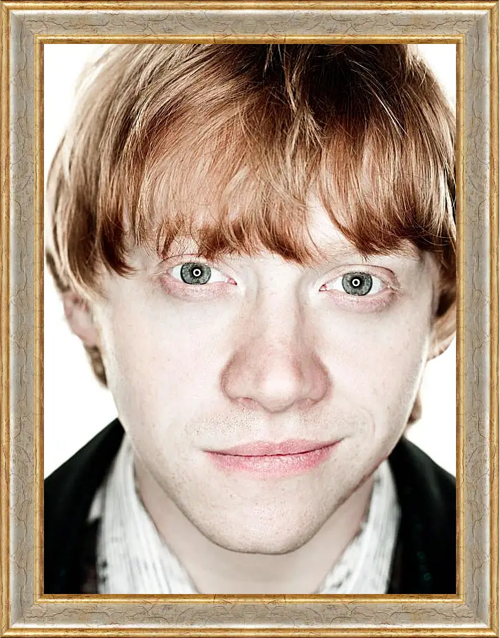 Картина в раме - Ron Weasley